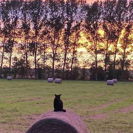 Ferienwohnung Kompass Nahe Der Ostsee Im Gruenen Bad Doberan Eksteriør billede