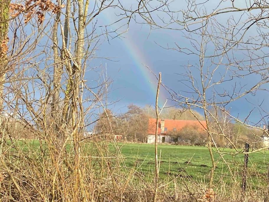Ferienwohnung Kompass Nahe Der Ostsee Im Gruenen Bad Doberan Eksteriør billede